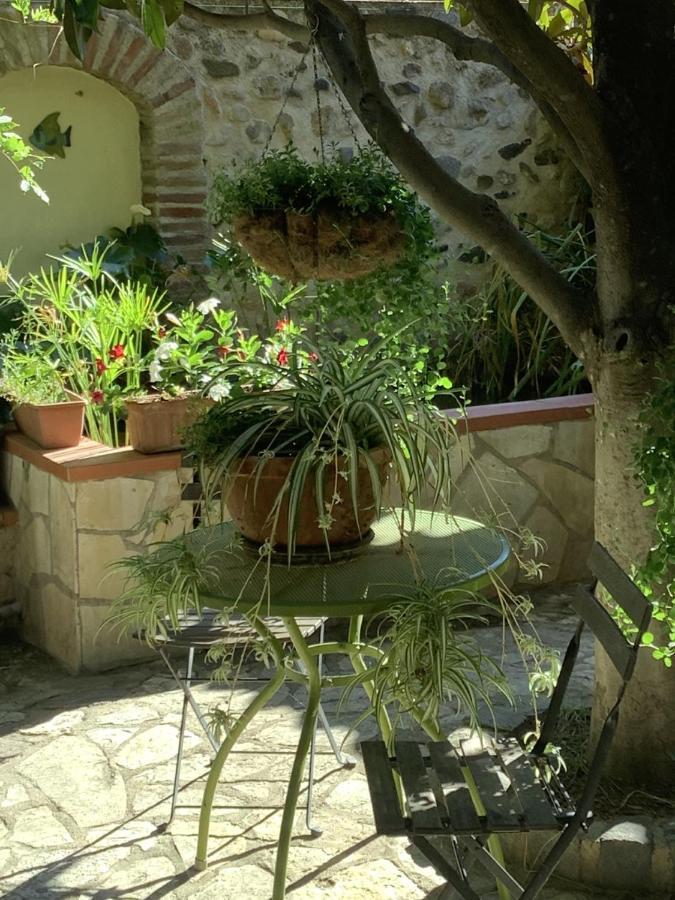 Mas Grandiflora Villa Espira-de-l'Agly Ngoại thất bức ảnh
